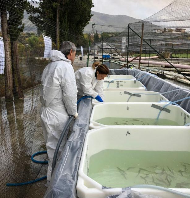 Piscifactorías Andaluzas S.A. personas en cultivo de truchas